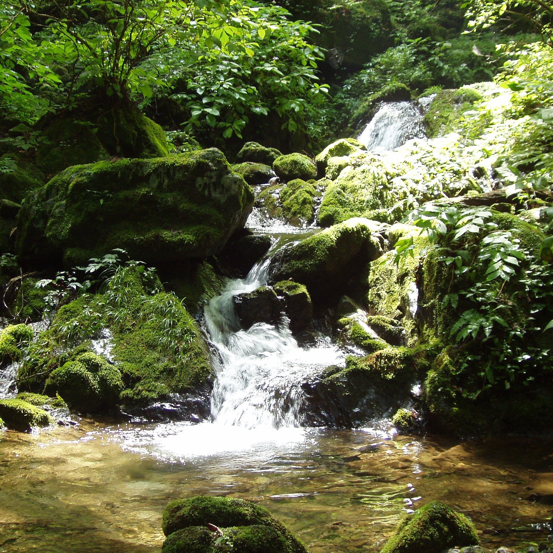 岩の上を流れる川