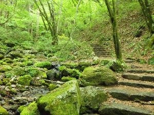 岩の階段とコケ