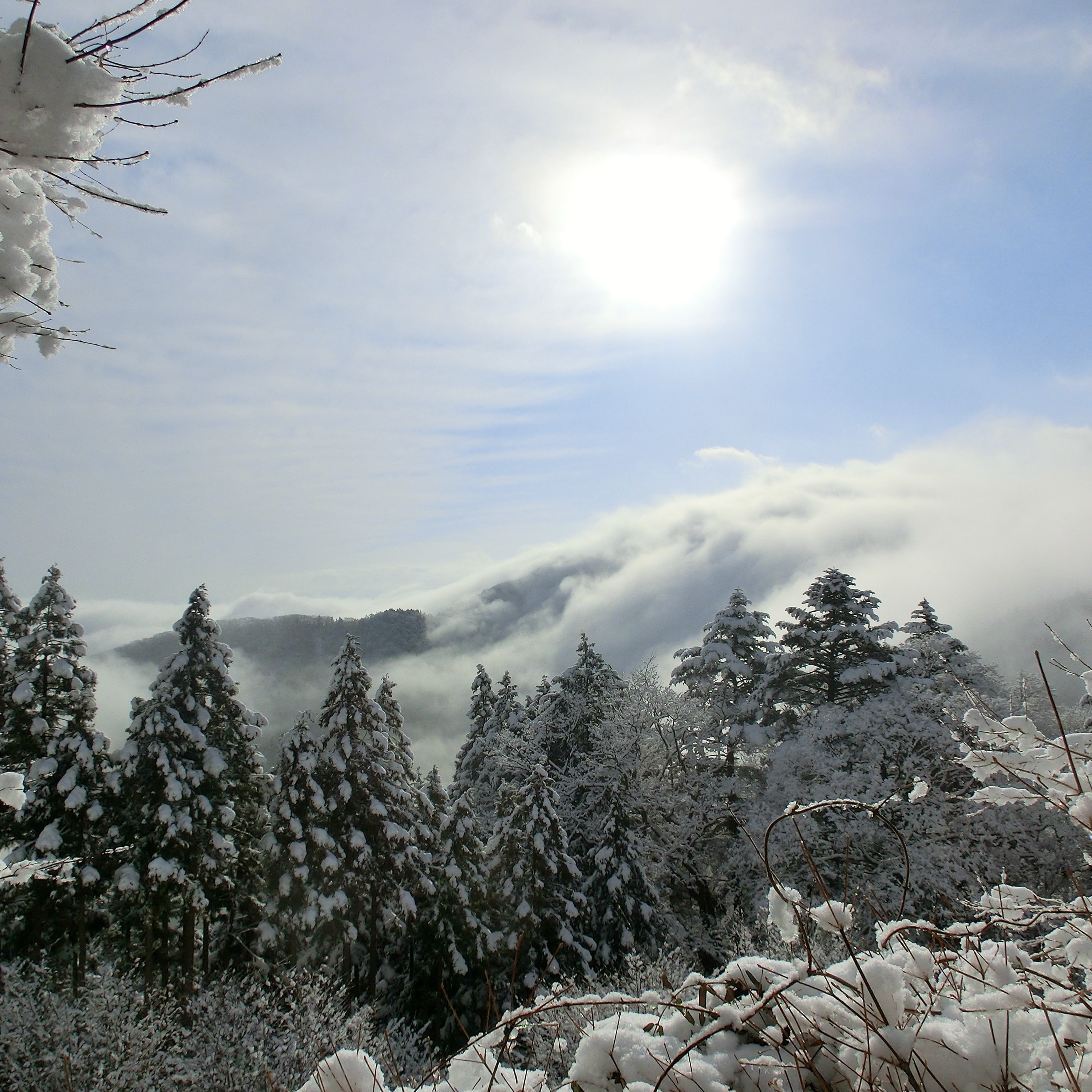 雪が積もった御岳平の様子
