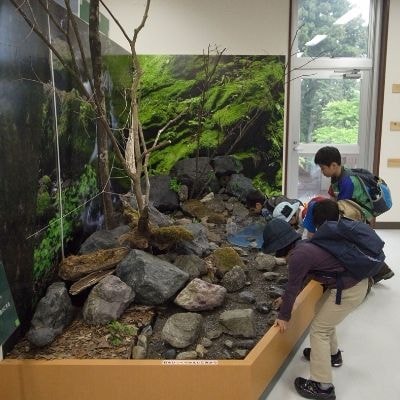 展示の石を見ている子どもたち