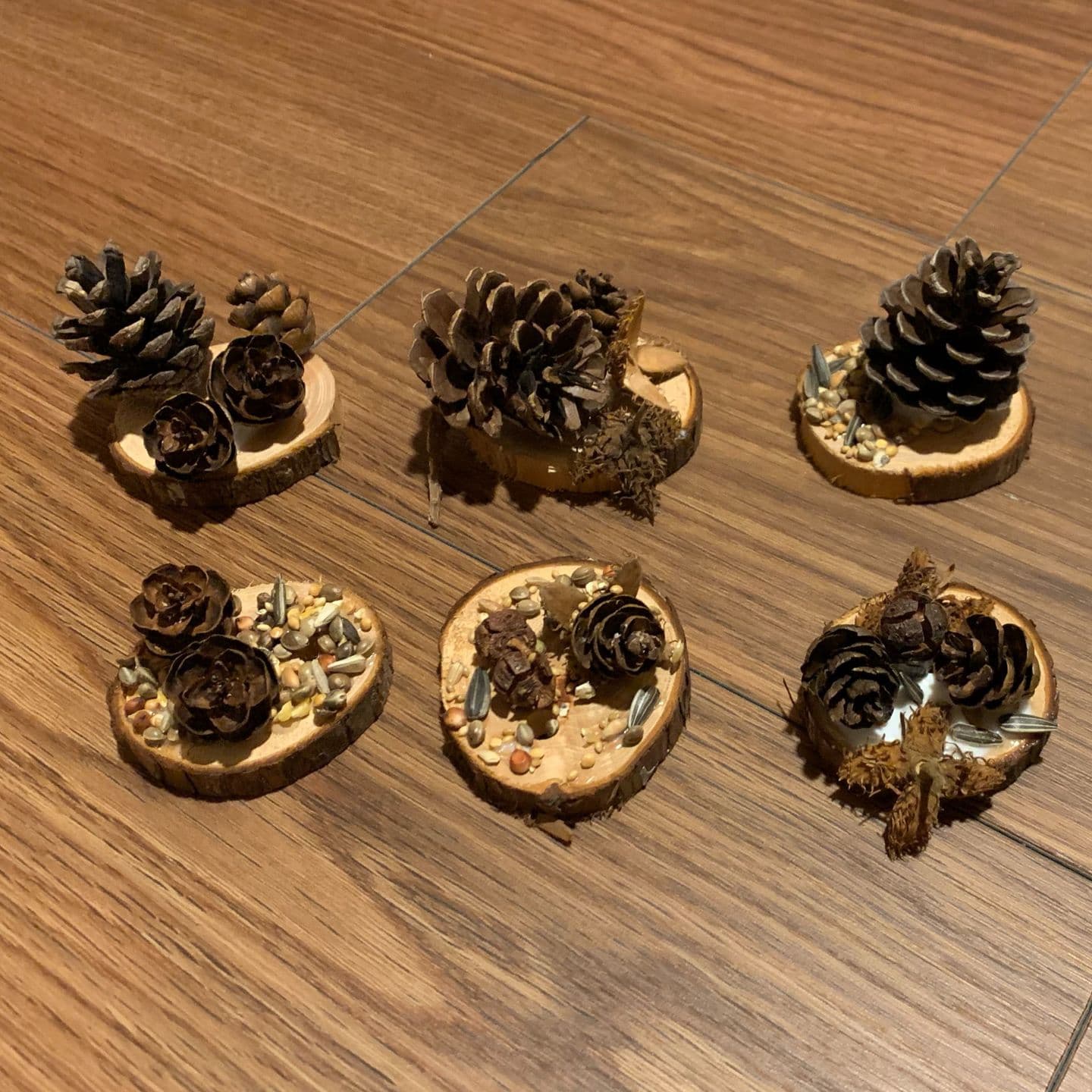 木の実のクラフトが並んでいる様子