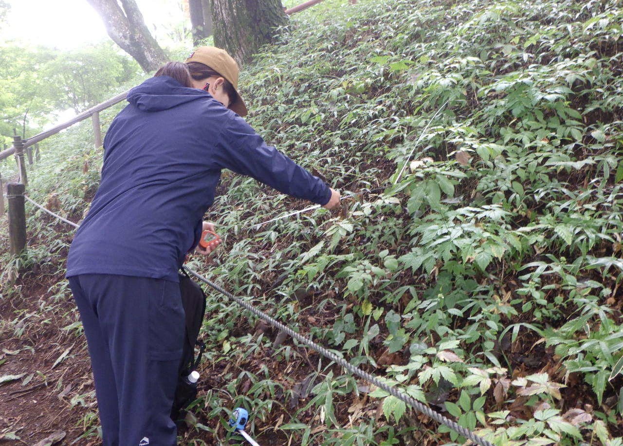 職員がメジャーを持って計測している様子