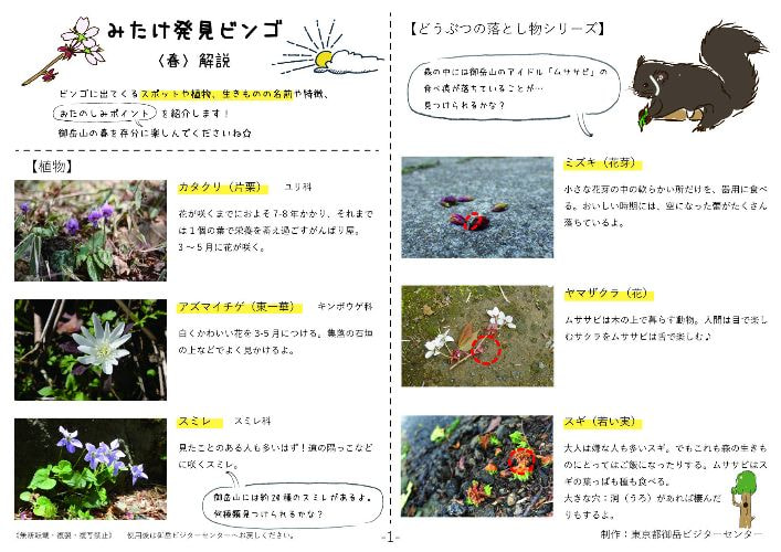みたけ発見ビンゴ（春）解説シート