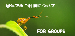 団体でのご利用について　For Groups