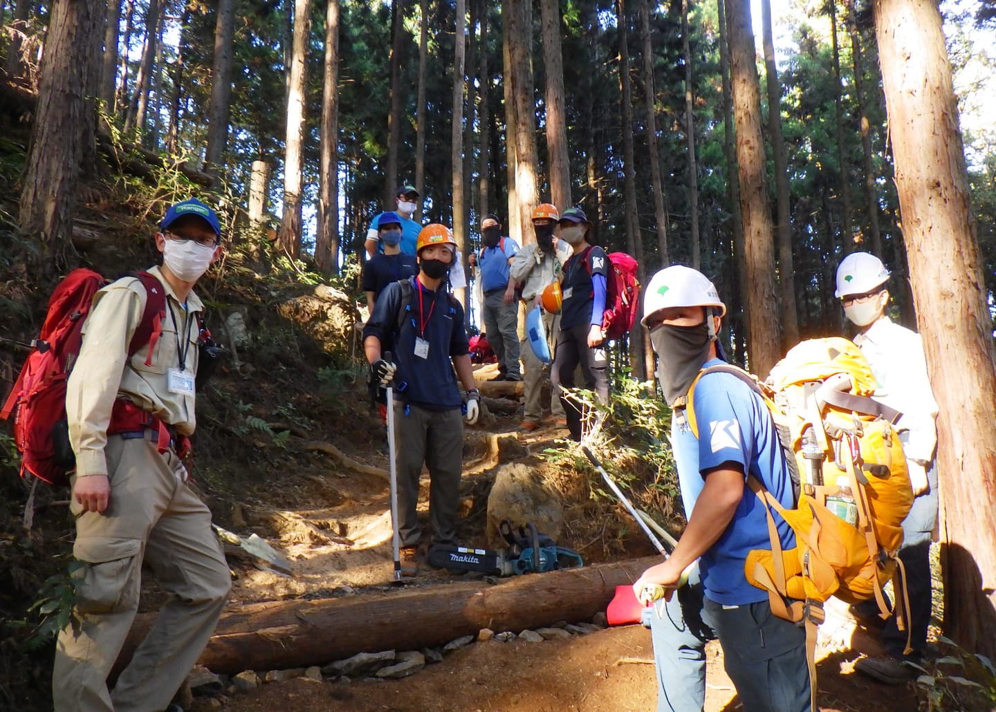 ニホンジカのオスが木立にいる様子