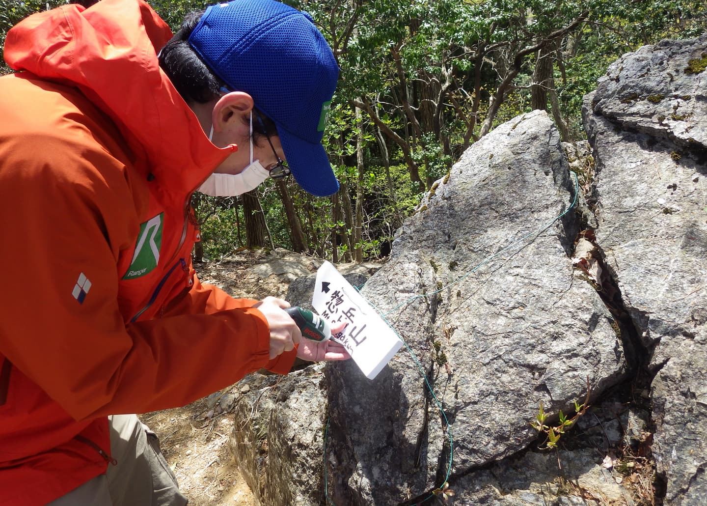 黒く丸い糞がたくさん落ちている