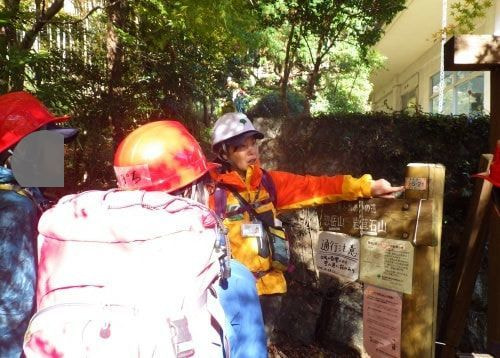 生い茂っているレンゲショウマ