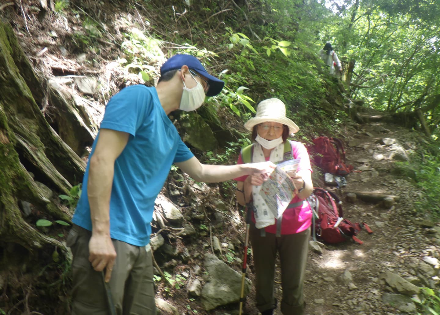 黒く丸い糞がたくさん落ちている