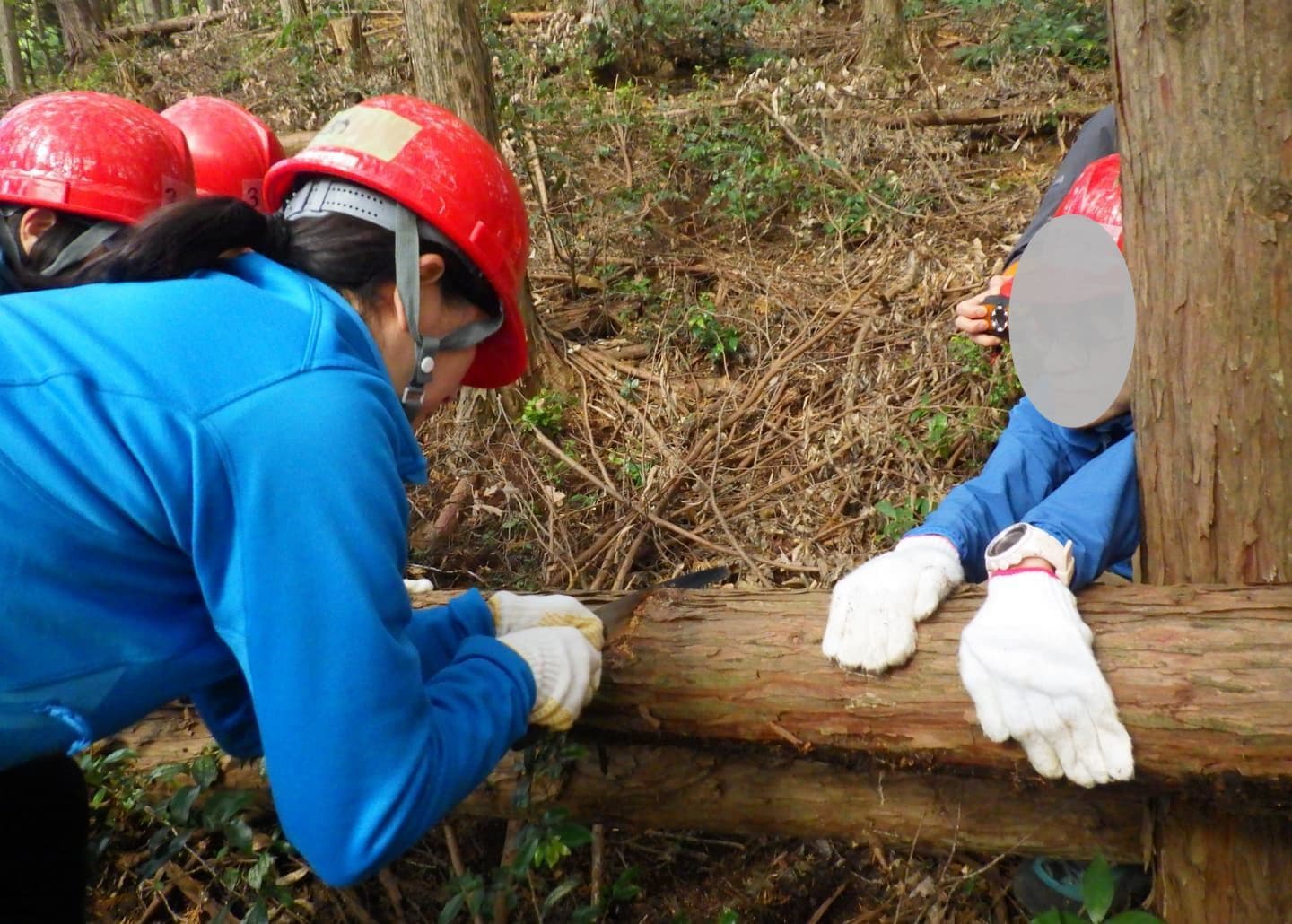 職員がメジャーを持って計測している様子