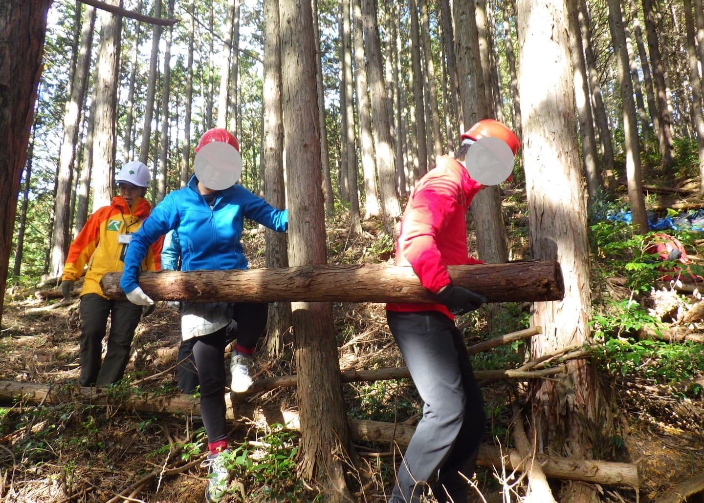 生い茂っているレンゲショウマ