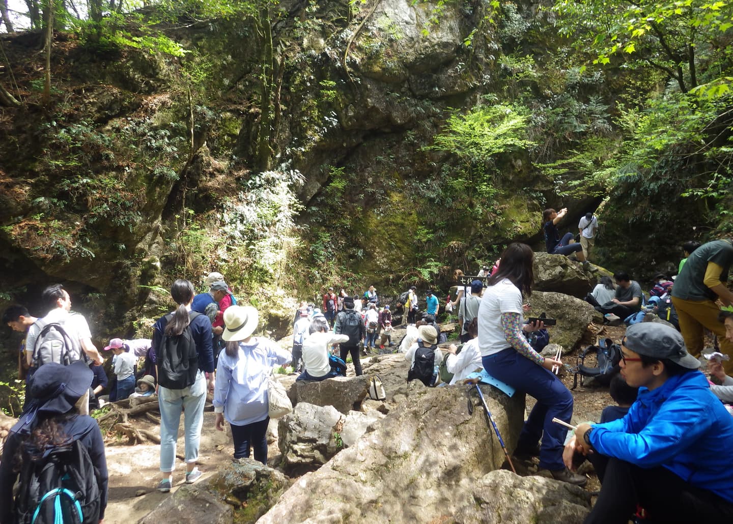 樹皮が一部剥げてしまっている木