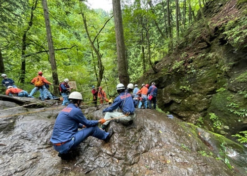 樹皮が一部剥げてしまっている木
