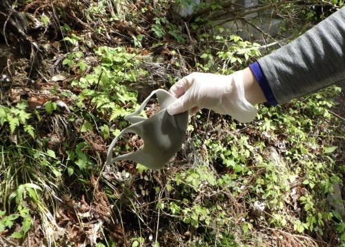 黒く丸い糞がたくさん落ちている