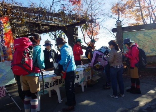 黒く丸い糞がたくさん落ちている