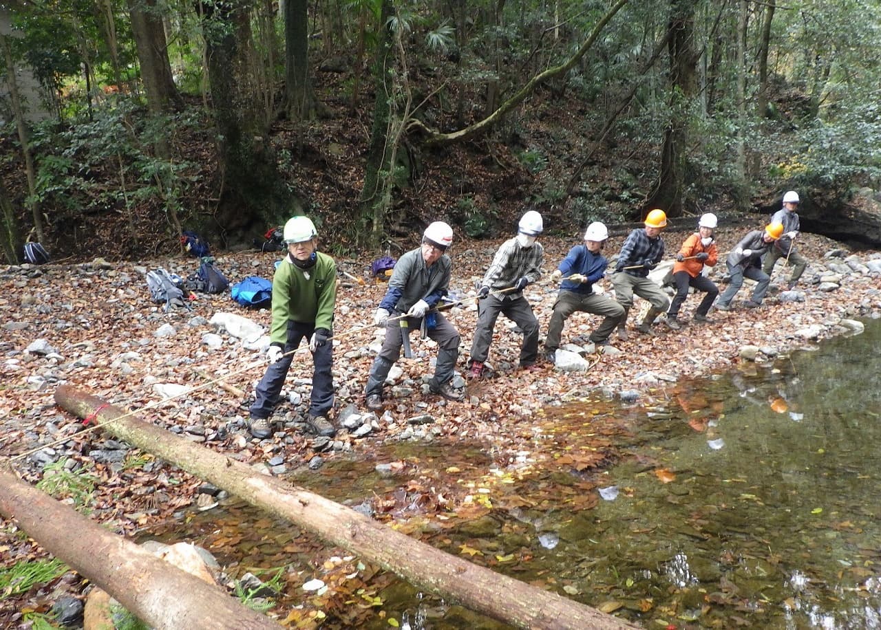 樹皮が一部剥げてしまっている木