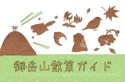 御岳山のニホンジカDeer on Mt,Mitake