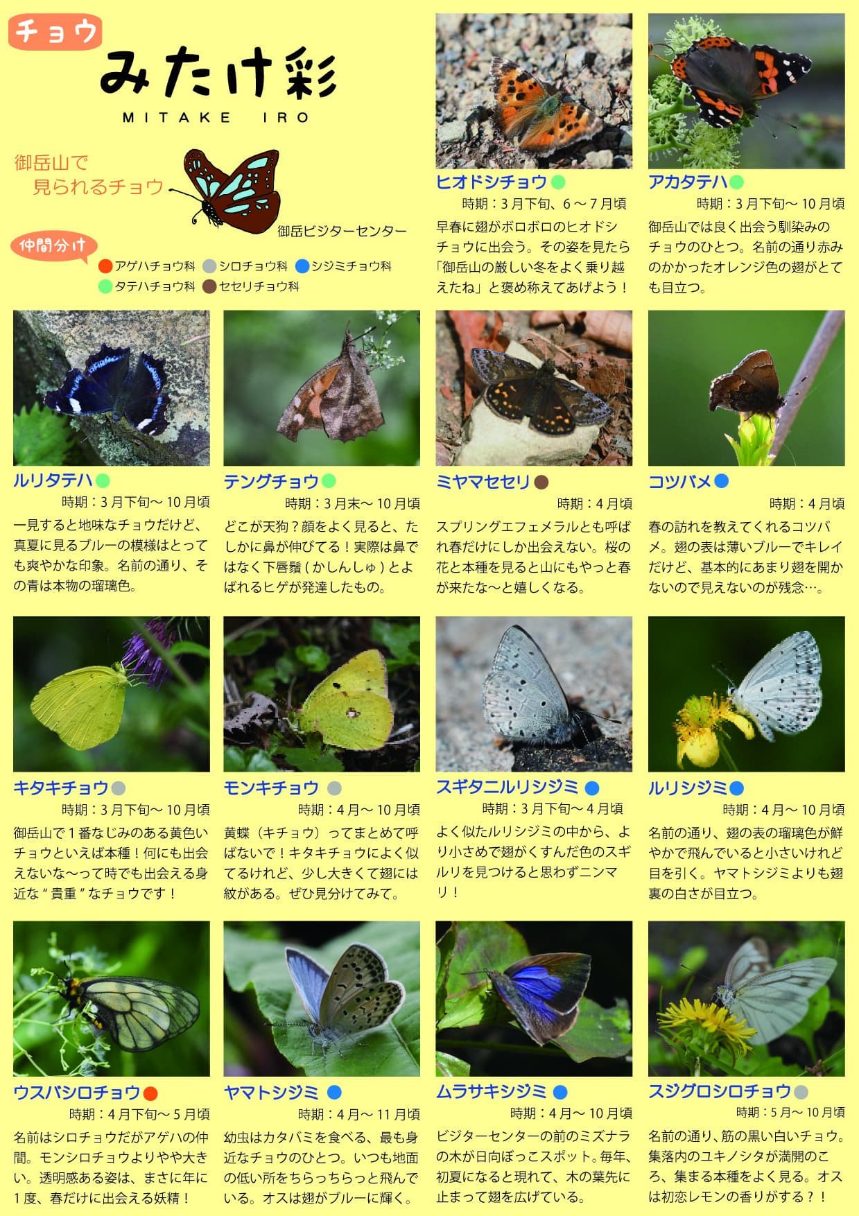 「みたけ彩」集落内で見られるスミレ　表