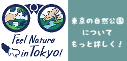 団体でのご利用について　For Groups